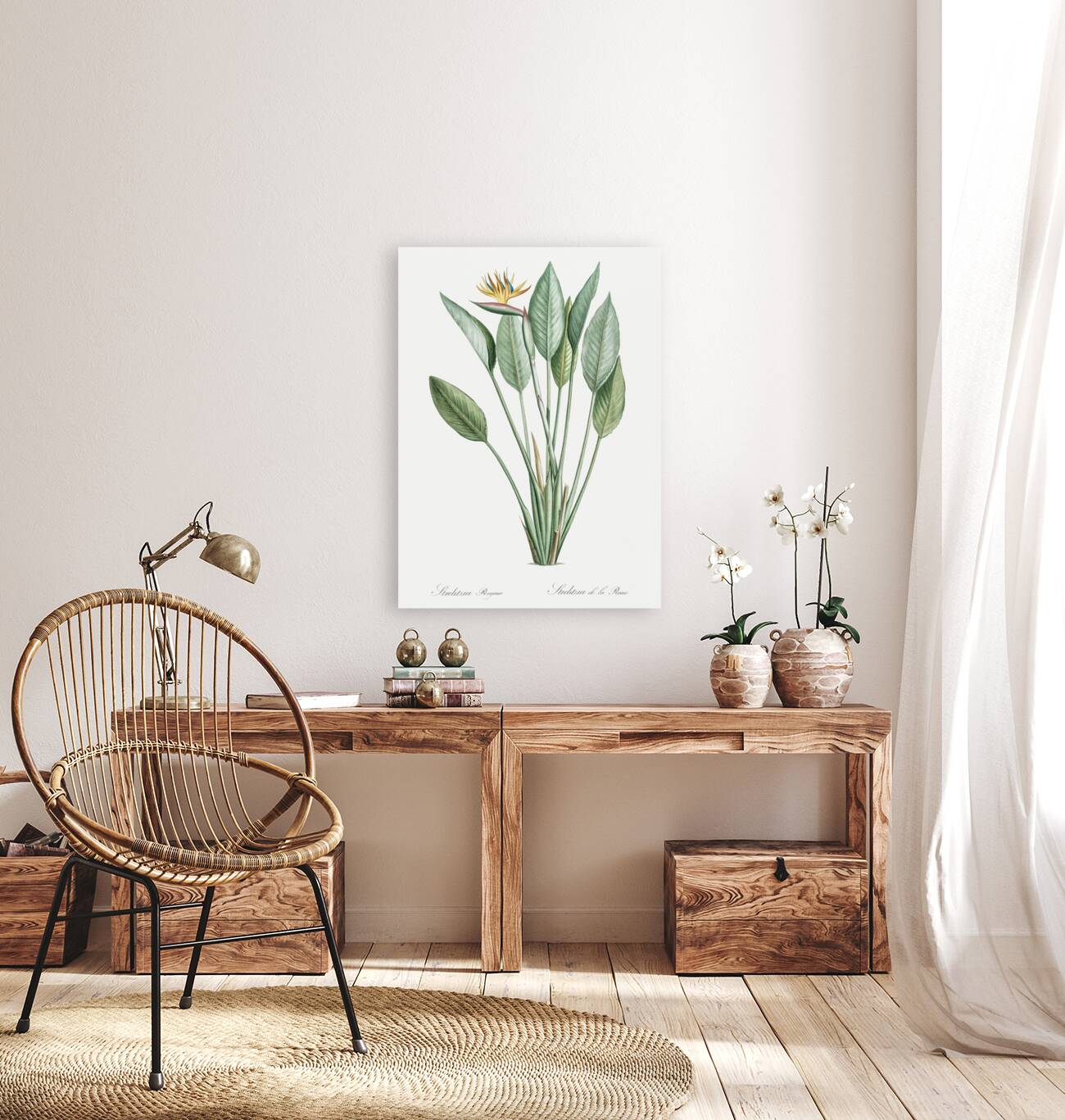 Bird of paradise illustration  Reproduction