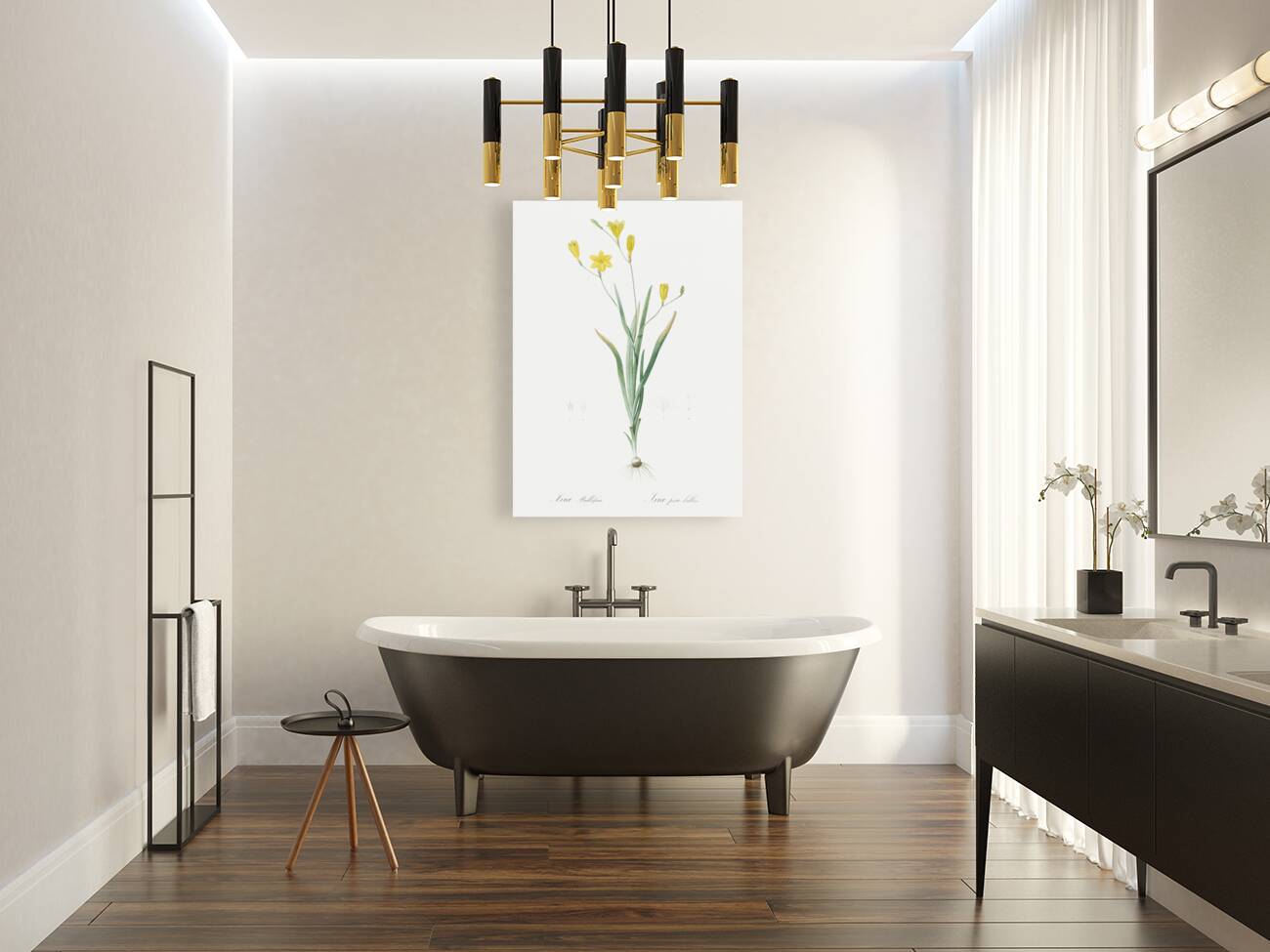 Ixia bulbifera illustration  Reproduction