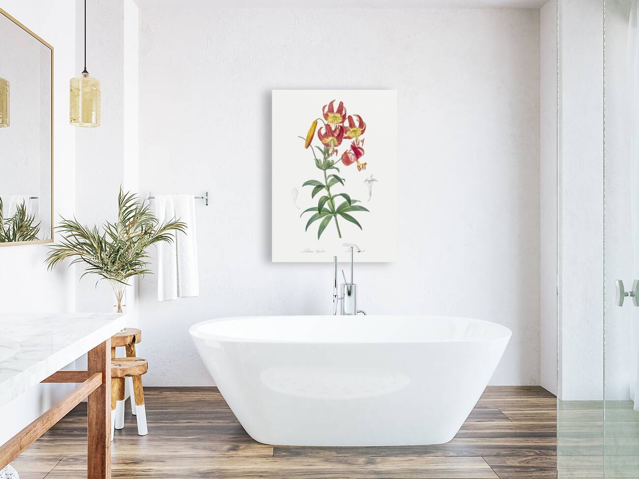 Turban lily illustration  Reproduction