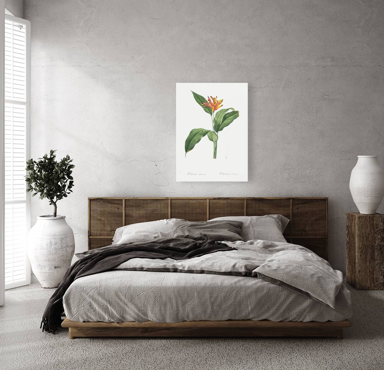 Lobster claws illustration  Reproduction