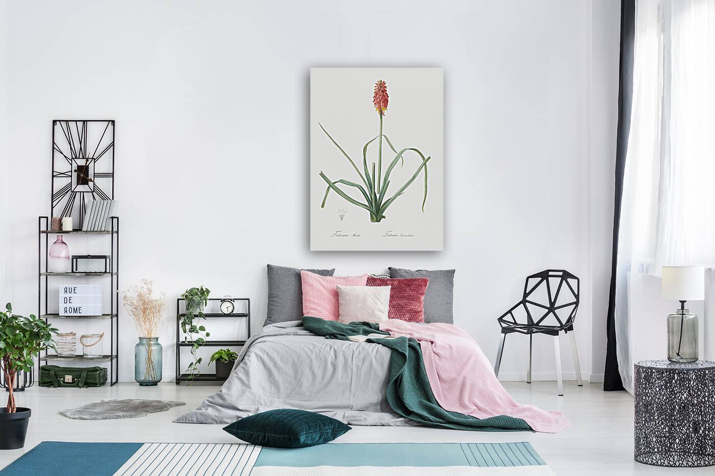 Redhot poker illustration  Reproduction