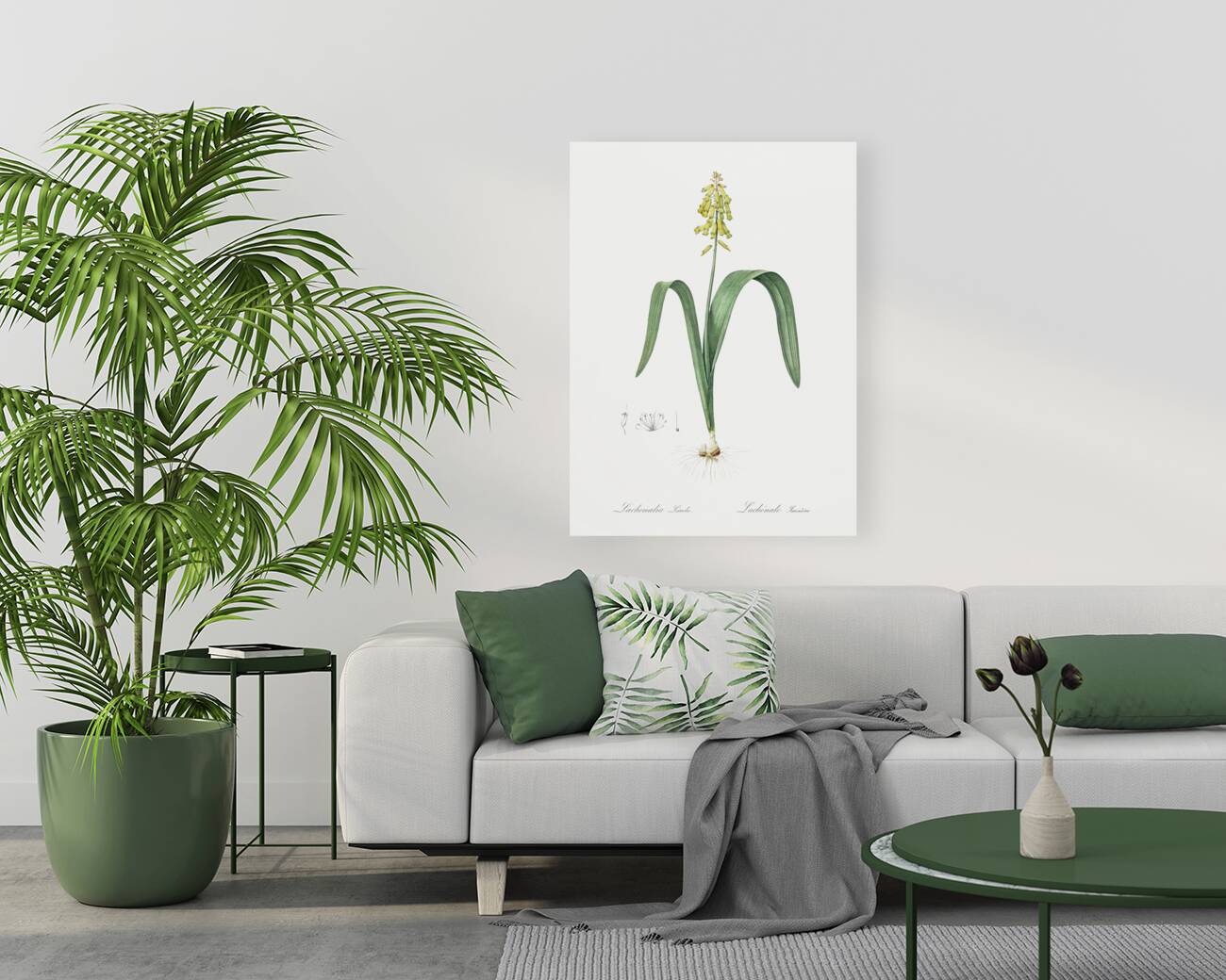 Opal flower illustration  Reproduction