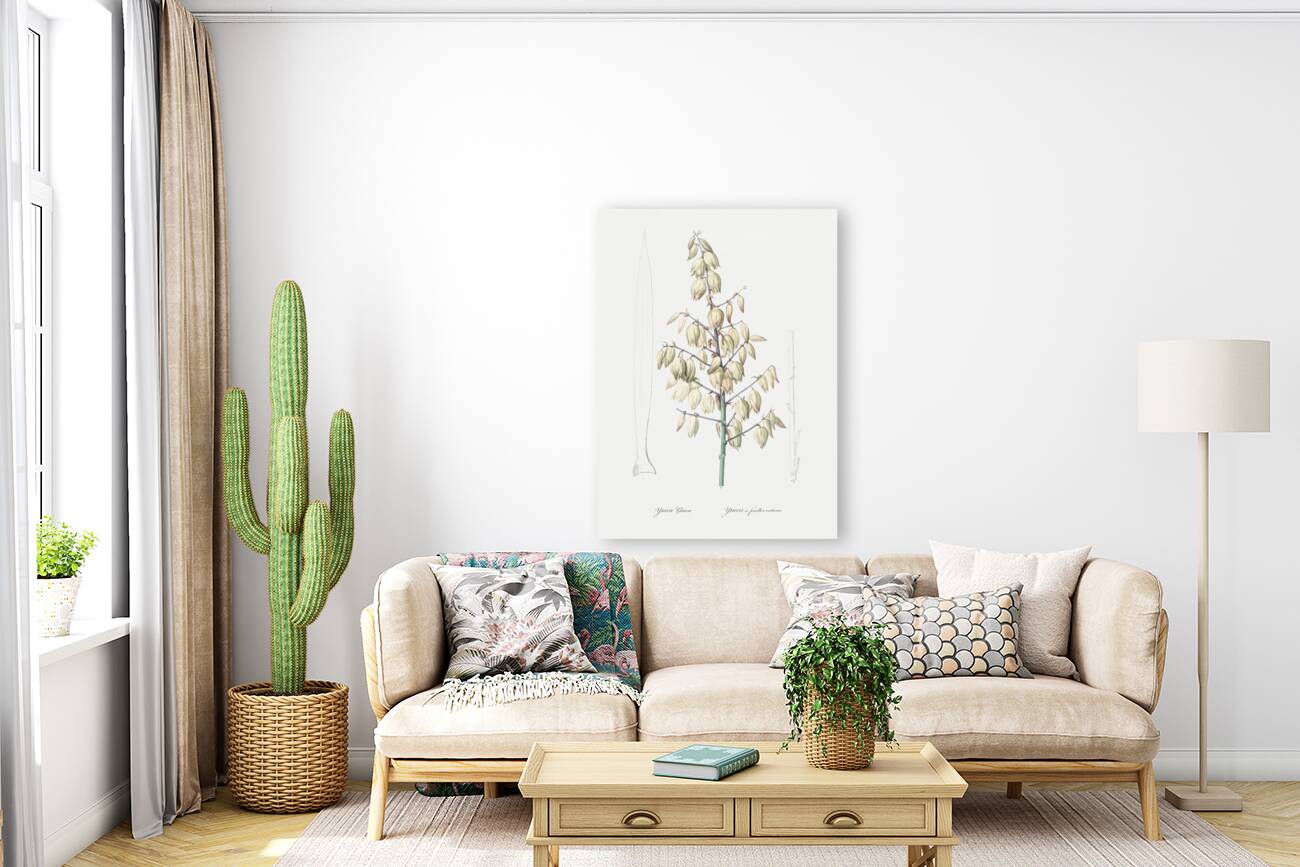 Adam needle illustration  Reproduction