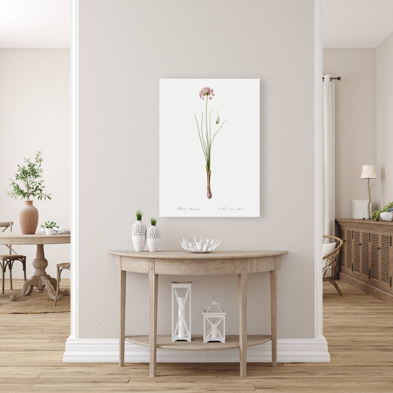 Autumn onion illustration  Reproduction