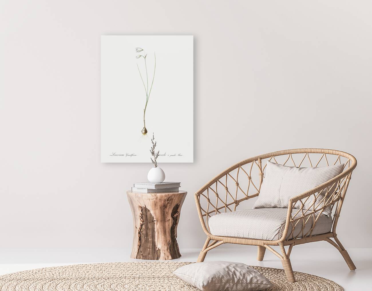 Snowbell illustration  Reproduction