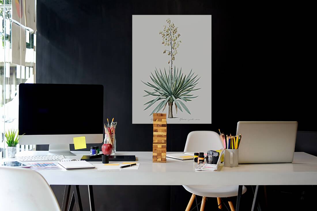 Adam needle illustration  Reproduction