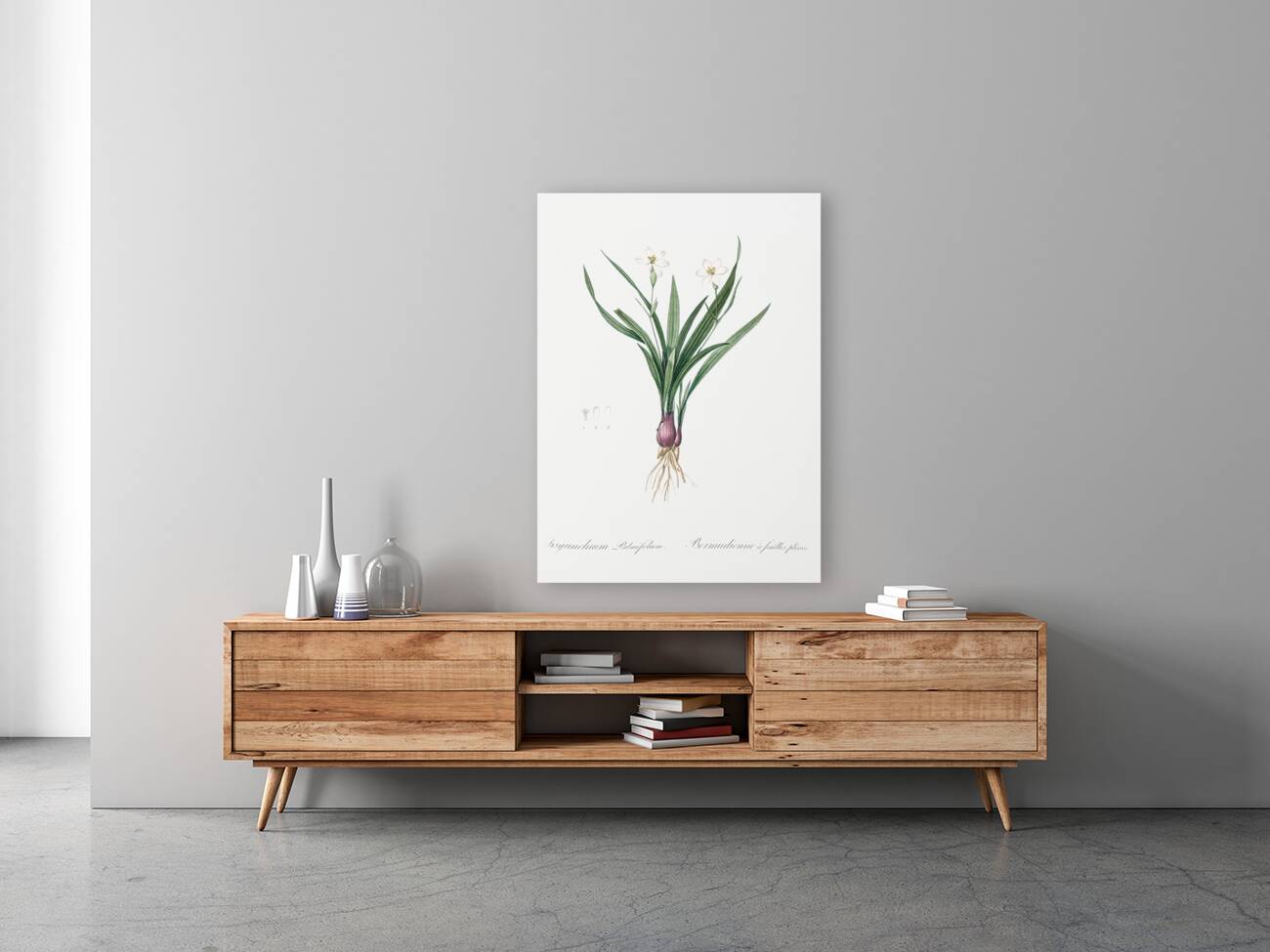 Agave yuccaefolia illustration  Reproduction