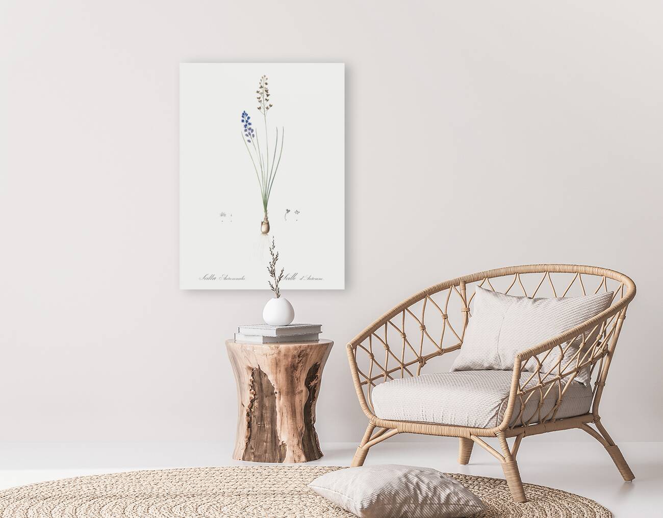 Autumn squill illustration Reproduction