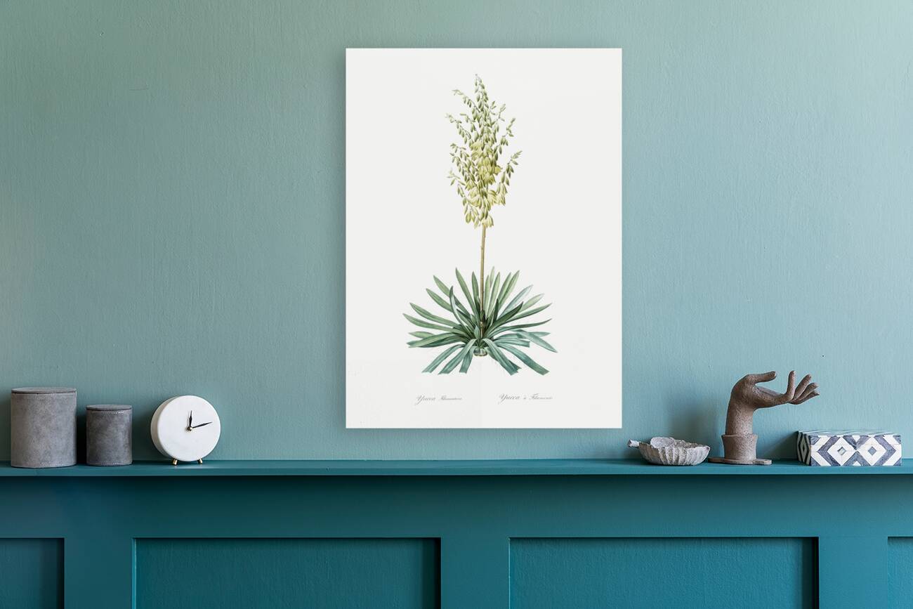 Adam needle illustration  Reproduction