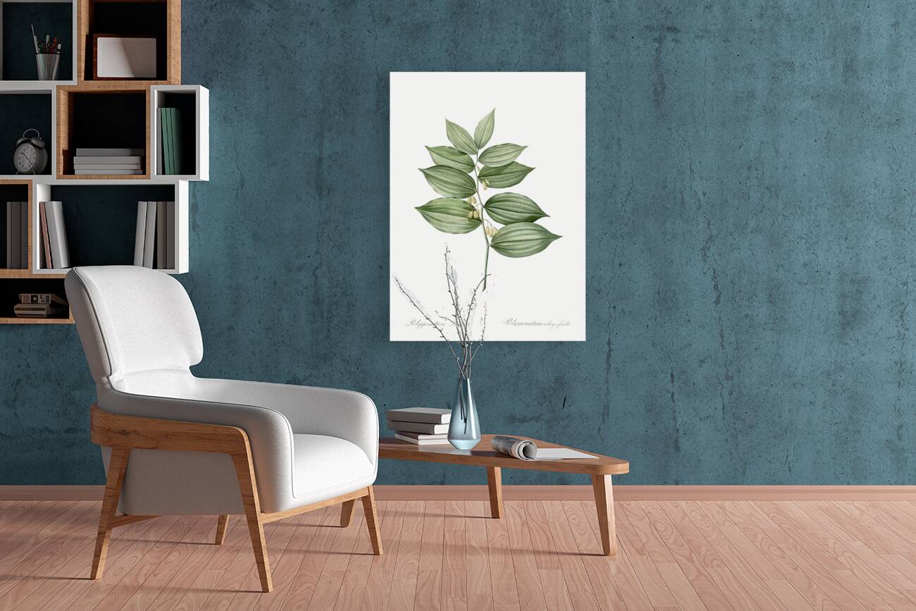 King Solomon seal illustration  Reproduction