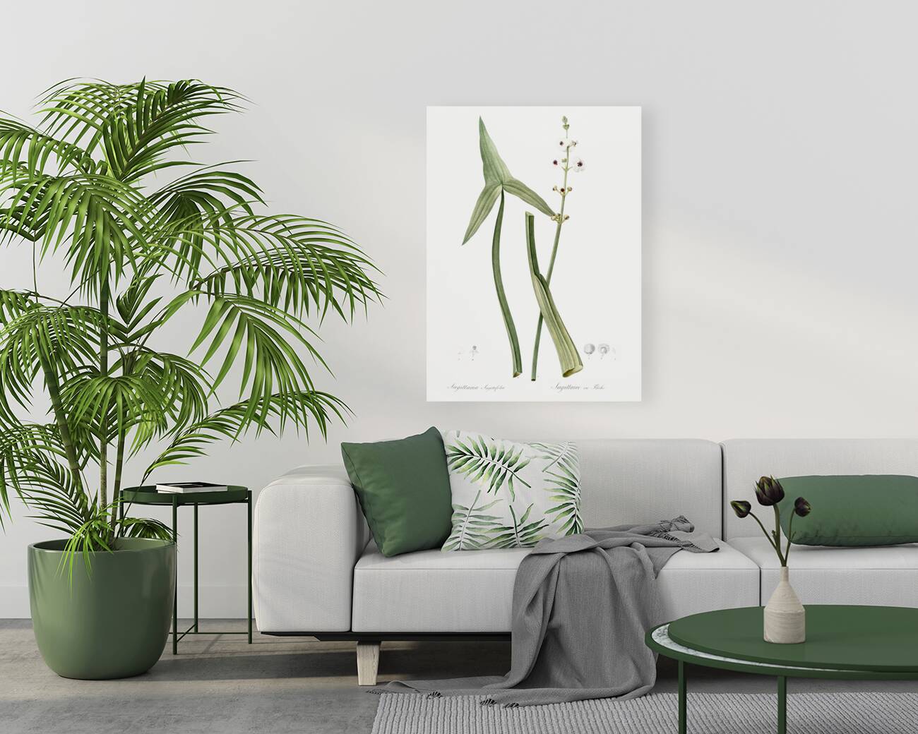 Arrowhead illustration  Reproduction