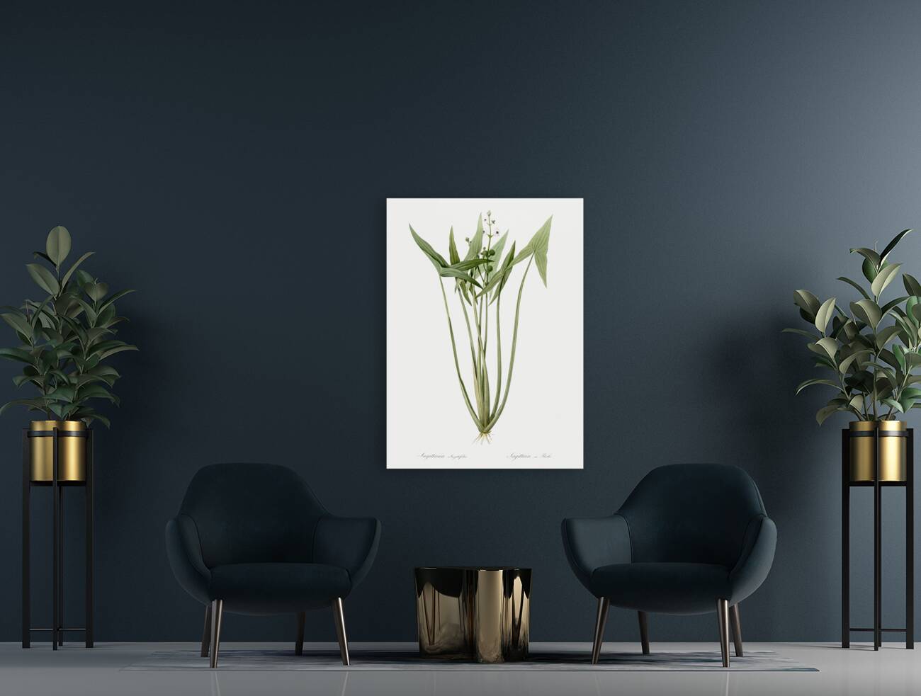 Arrowhead illustration  Reproduction