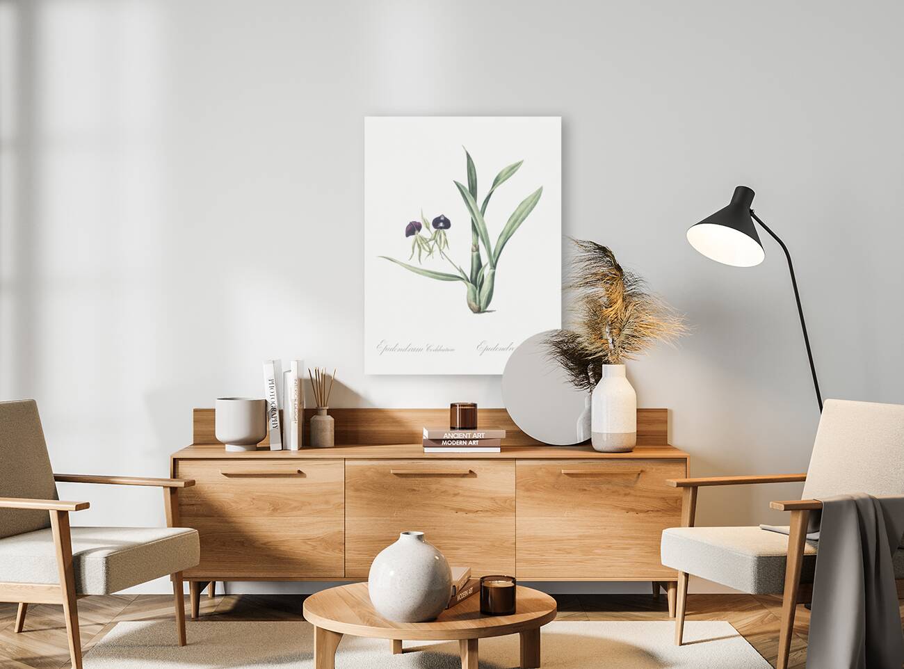 Clamshell orchid illustration  Reproduction