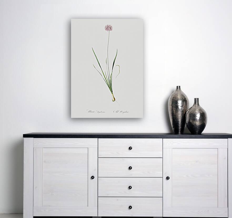 Mouse garlic illustration  Reproduction