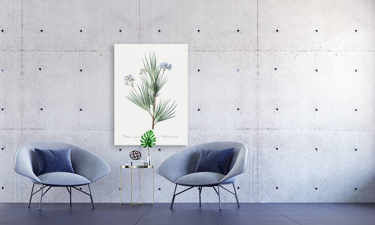 Blue stars illustration  Reproduction