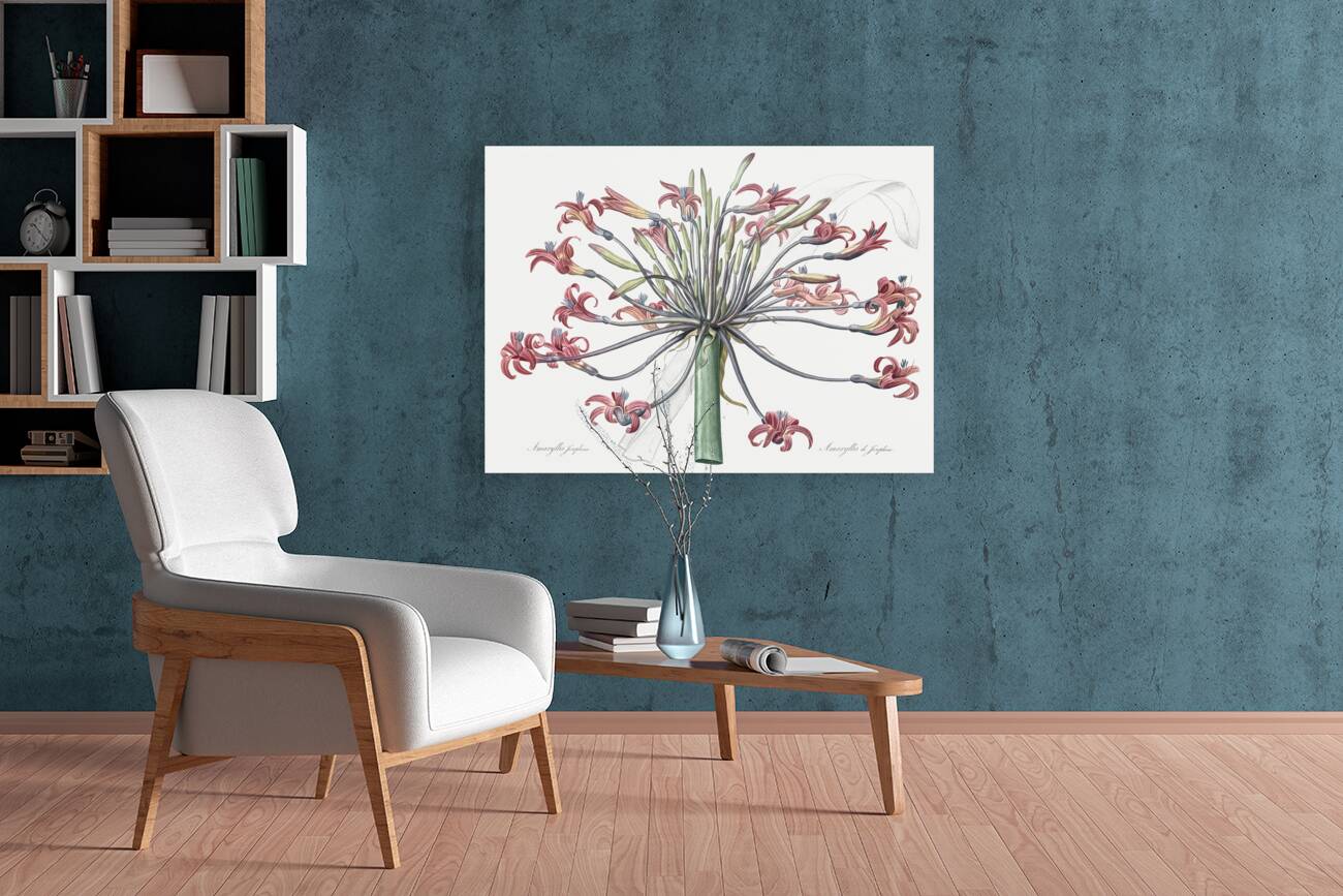 Josephine & lily illustration  Reproduction