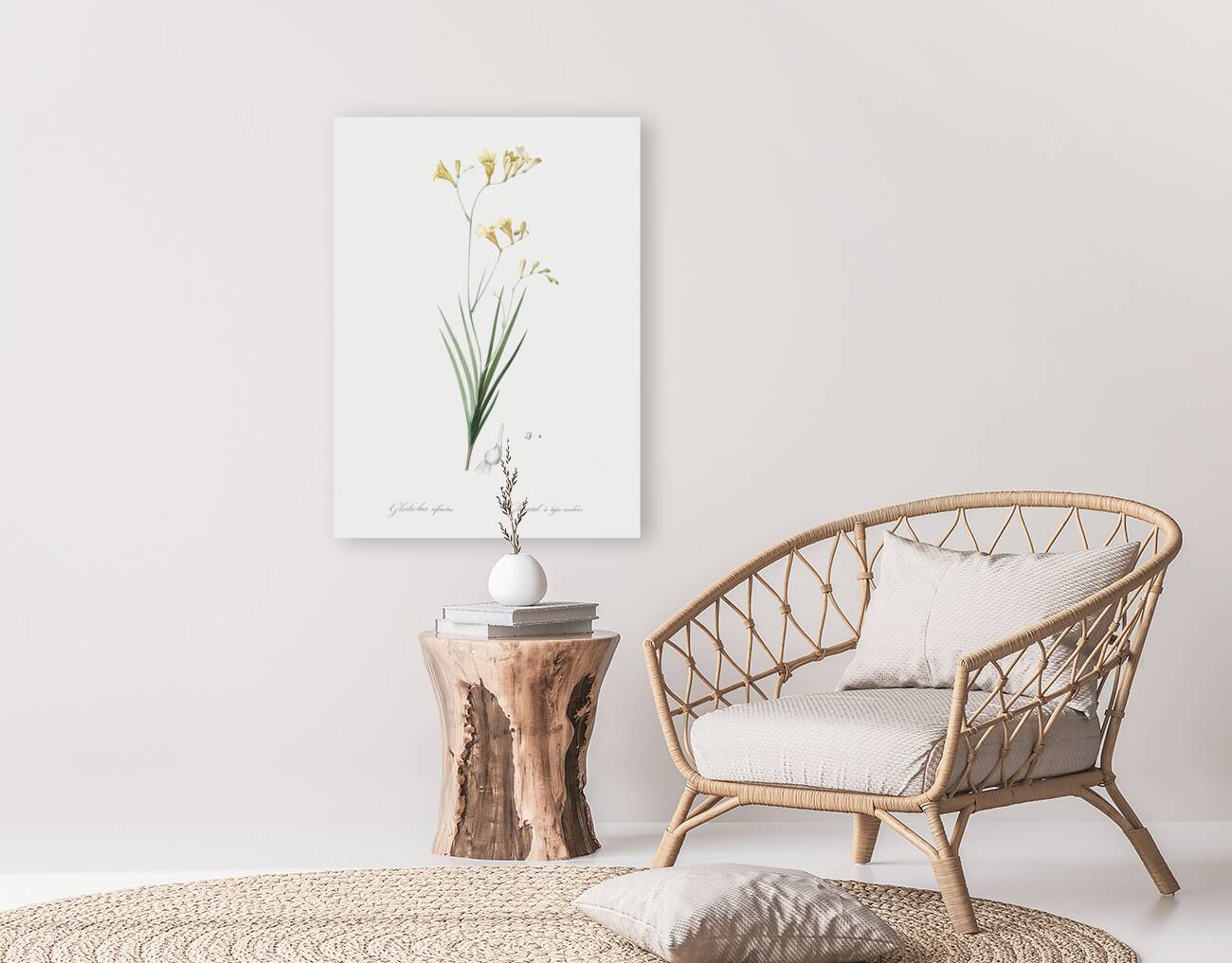 Freesia illustration  Reproduction