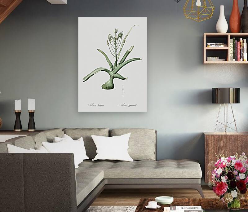 Slime lily illustration  Reproduction