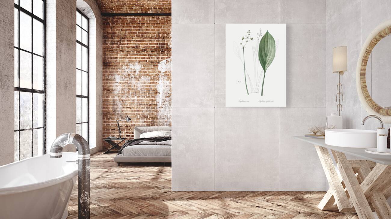 Bulltongue arrowhead illustration  Reproduction