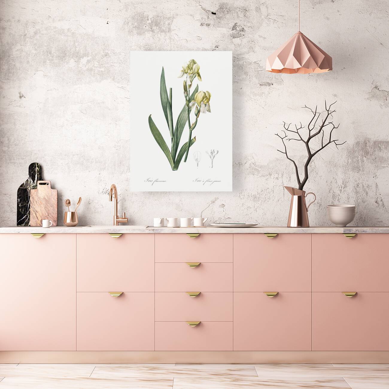 Lemonyellow iris illustration  Reproduction