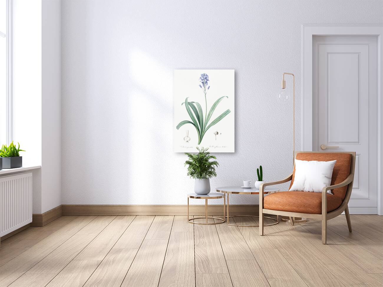 Siberian iris illustration  Reproduction