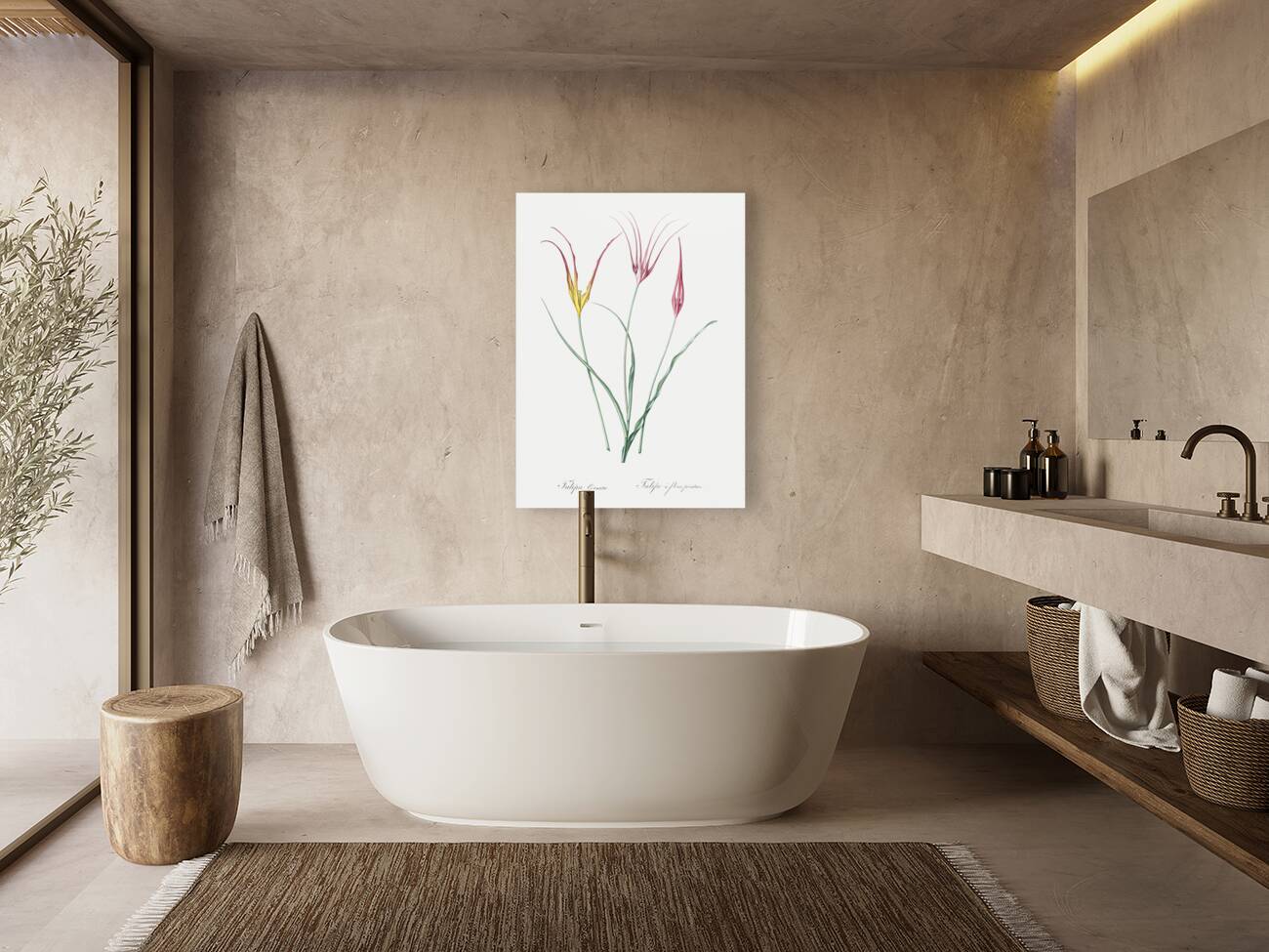 Horned tulip illustration  Reproduction