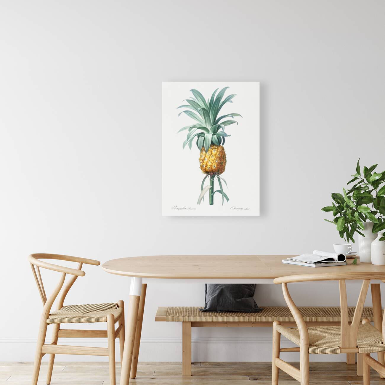 Pineapple illustration Reproduction