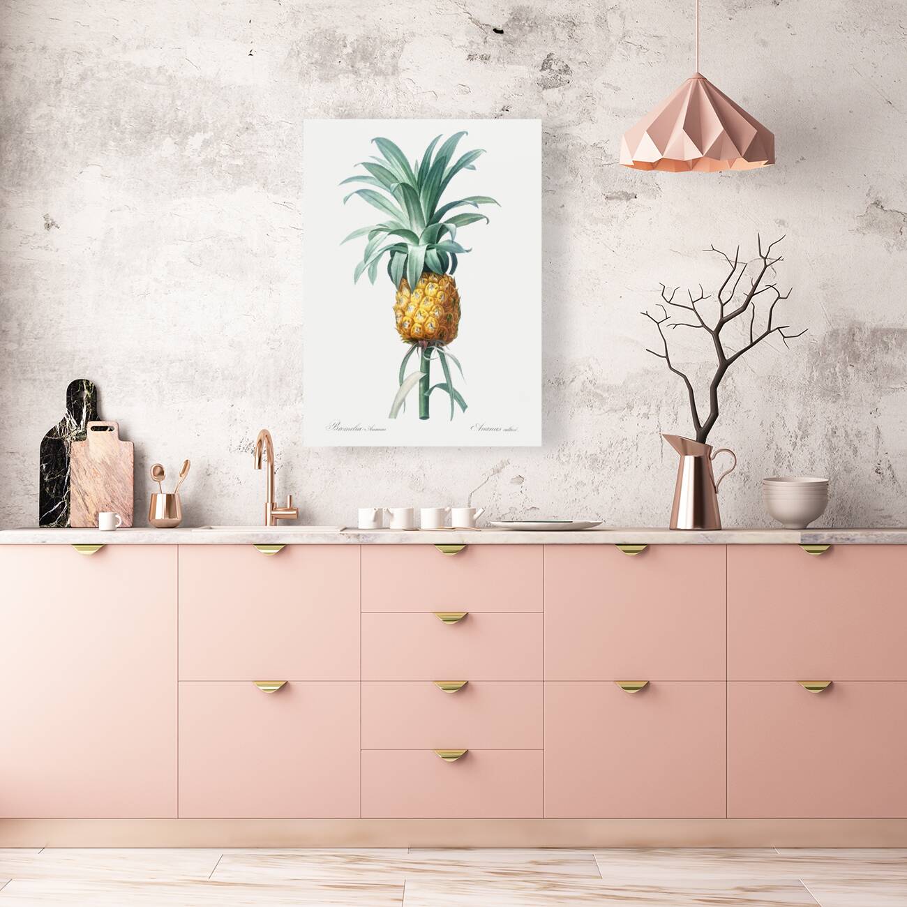 Broadleaf wild leek illustration  Reproduction