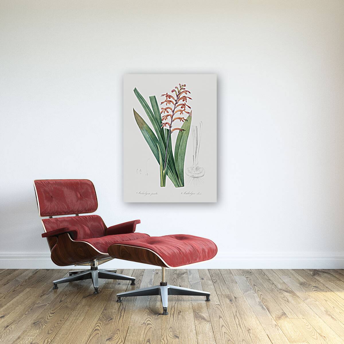 African flag illustration  Reproduction