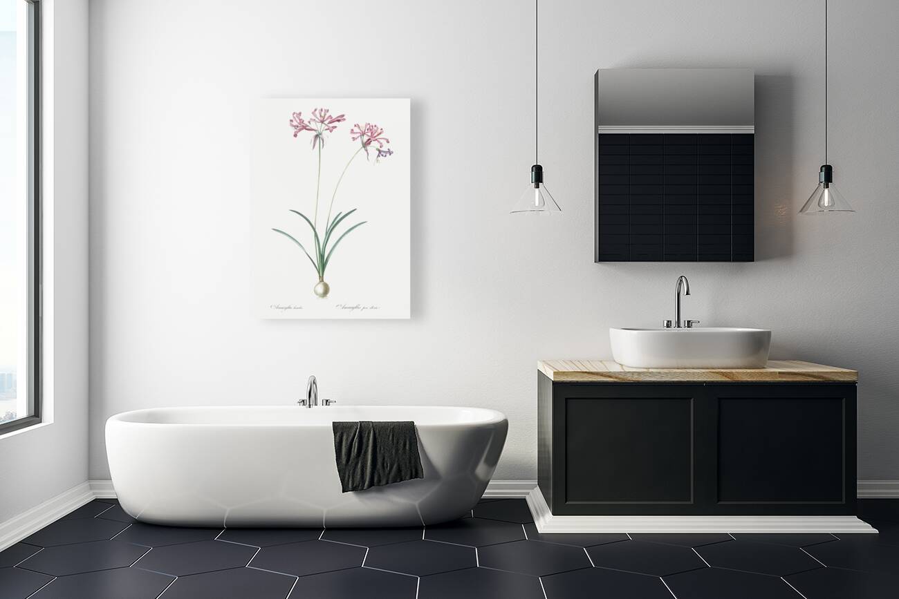 African flag illustration  Reproduction