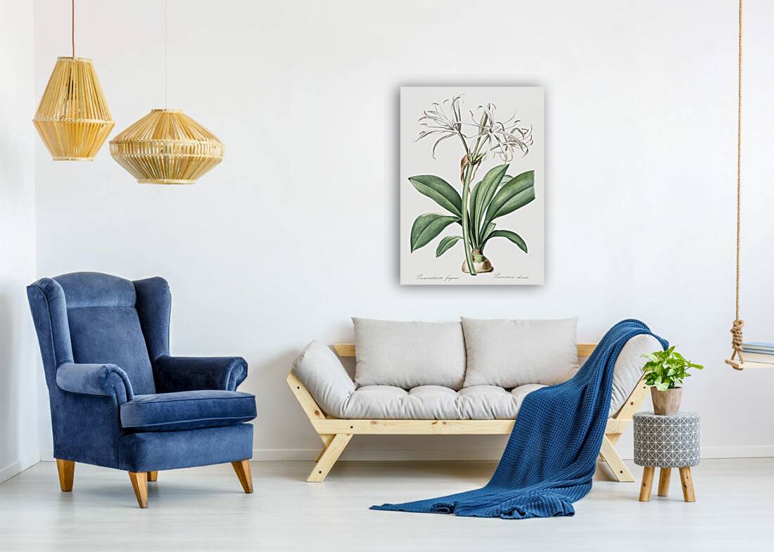 African flag illustration  Reproduction