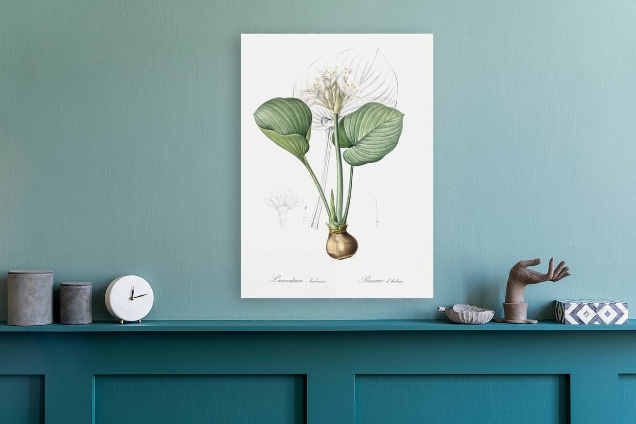 African flag illustration  Reproduction