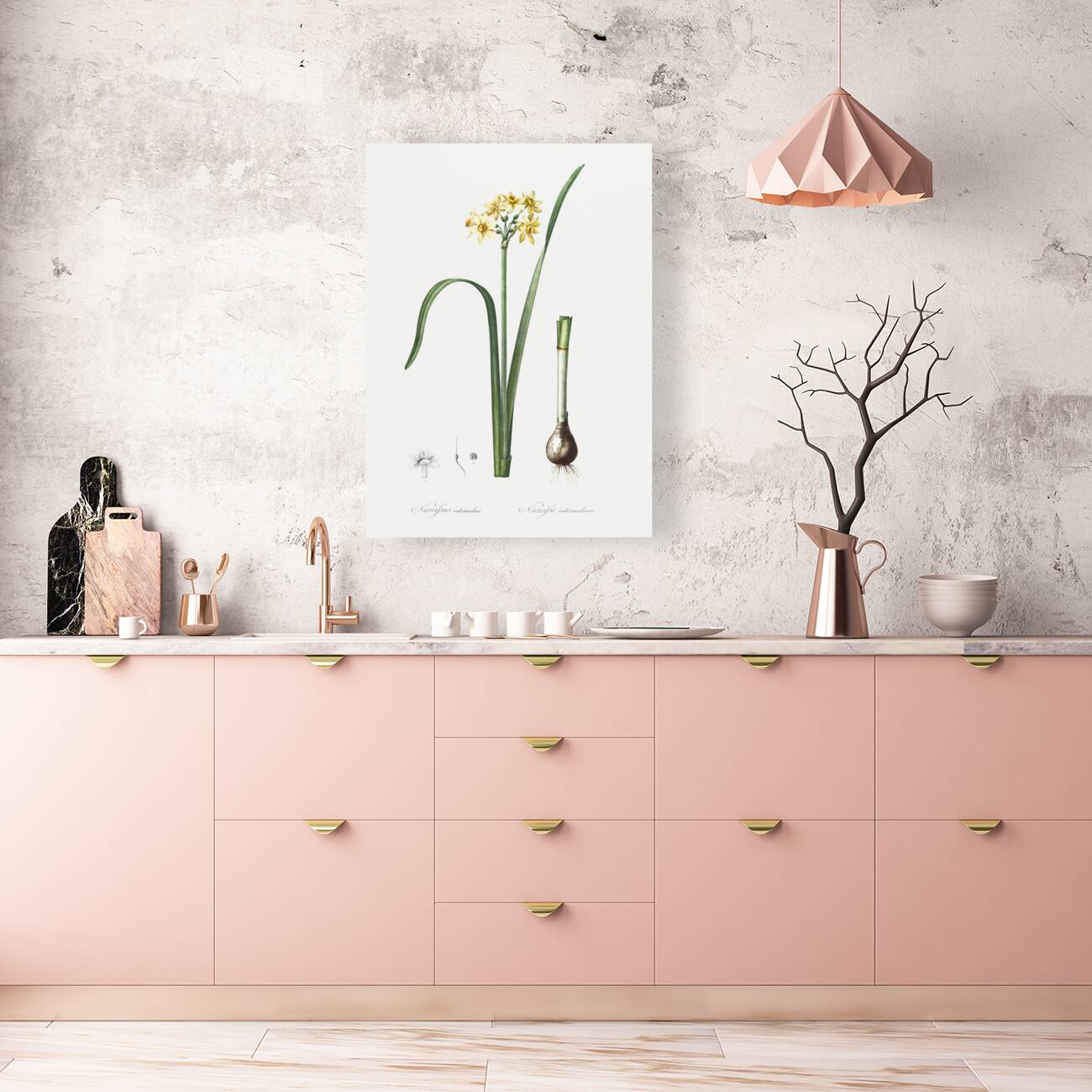 Asparagus fern illustration  Reproduction