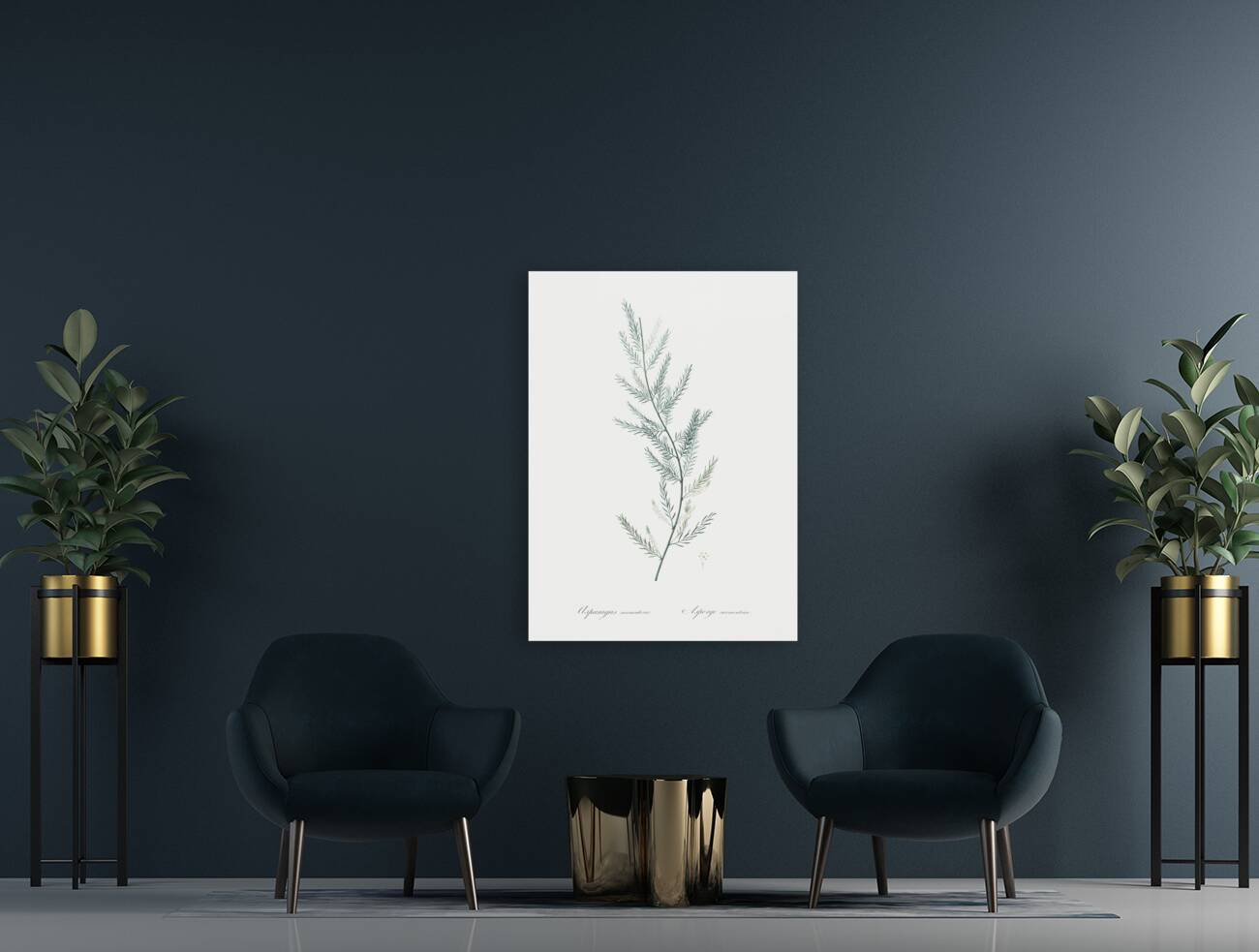 Asparagus fern illustration  Reproduction