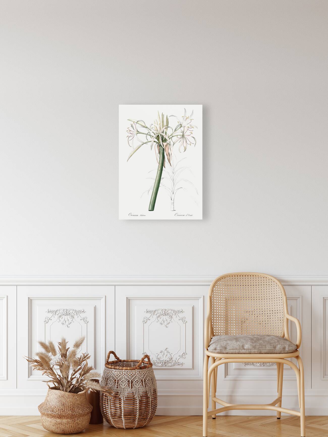 Poison bulb illustration  Reproduction