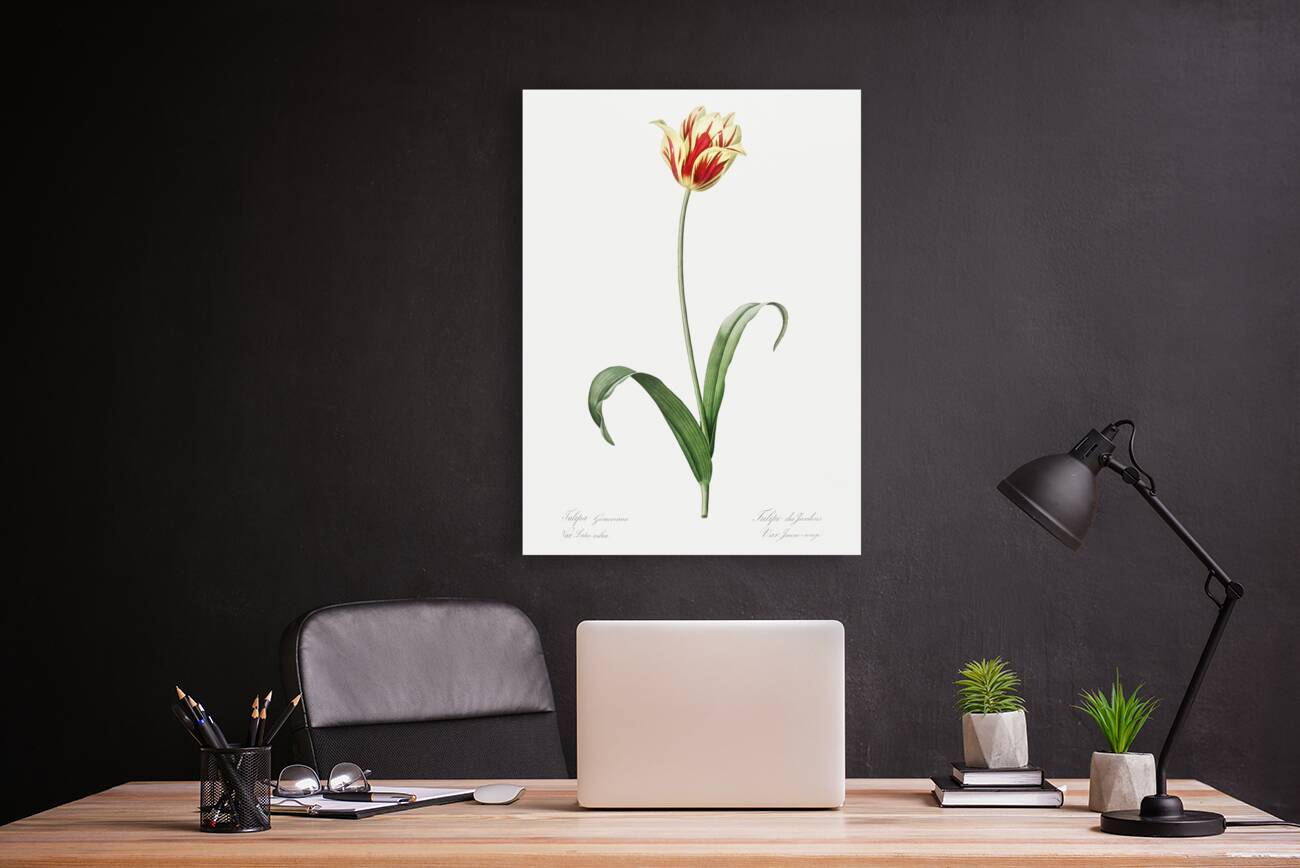 Poison bulb illustration  Reproduction