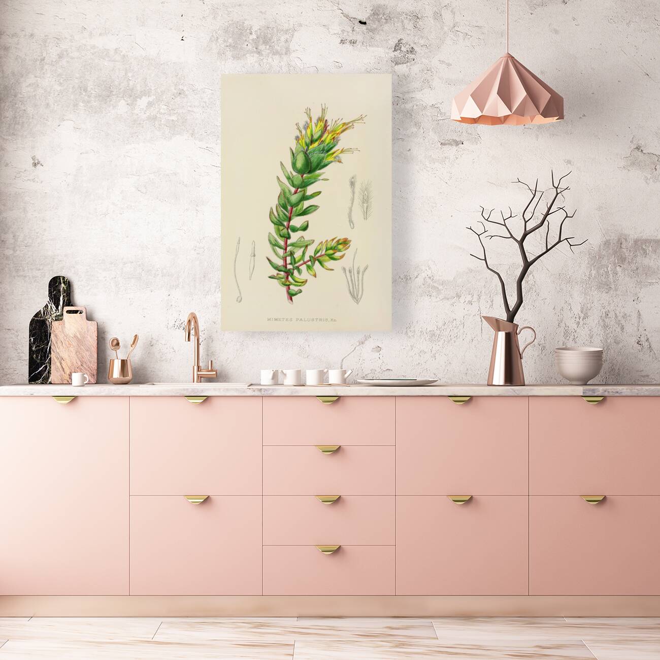 Mimetes Palustris Reproduction