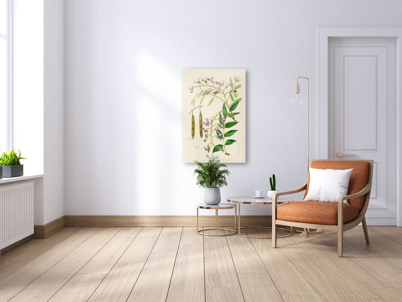 Bolusanthus Speciosus Reproduction