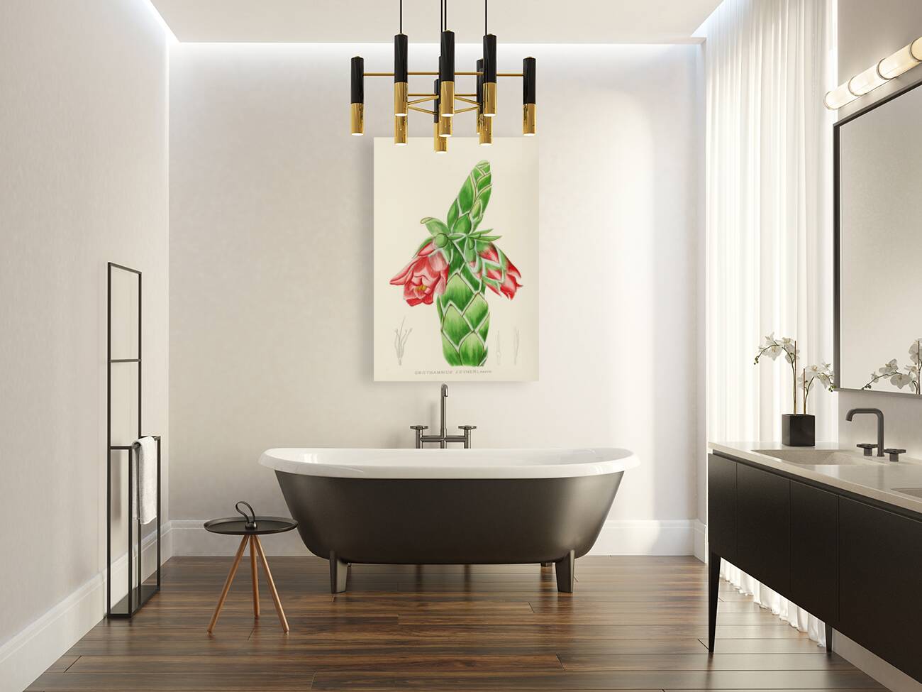 Orothamnus Zeyheri Reproduction