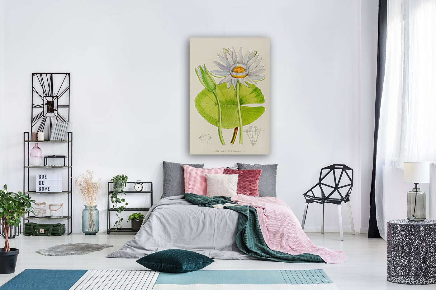 Nymphaea Stellata Reproduction