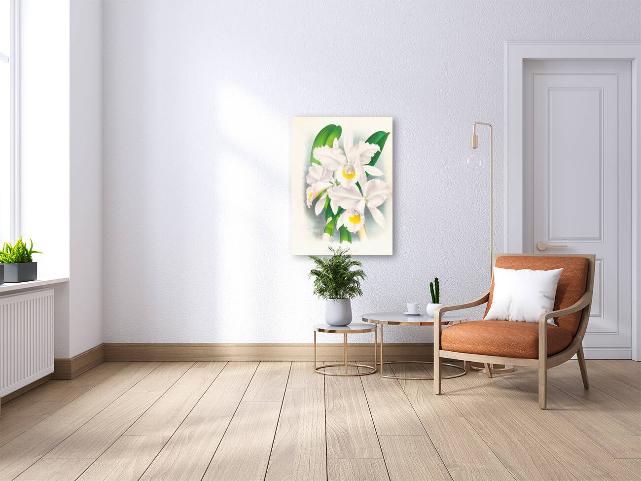 Cattleya Trianae var Pallida  Reproduction