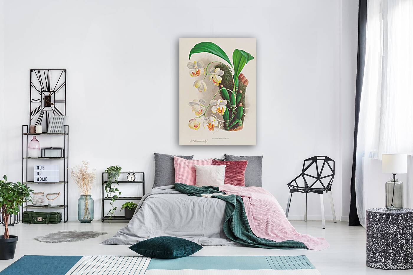 Aganisia tricolor Reproduction