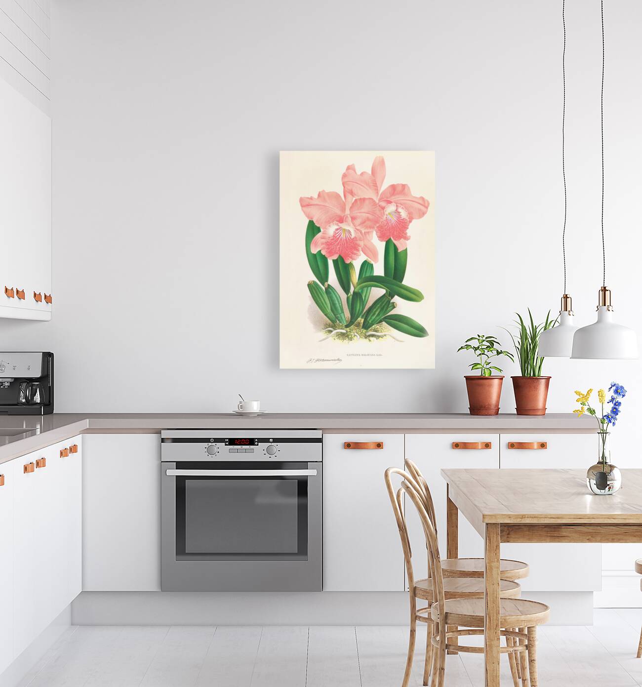 Cattleya Malouana Reproduction