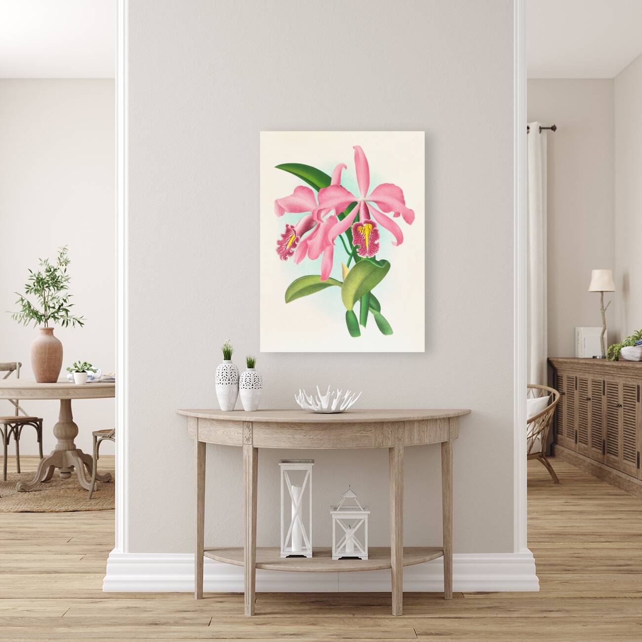 Cattleya maxima Reproduction