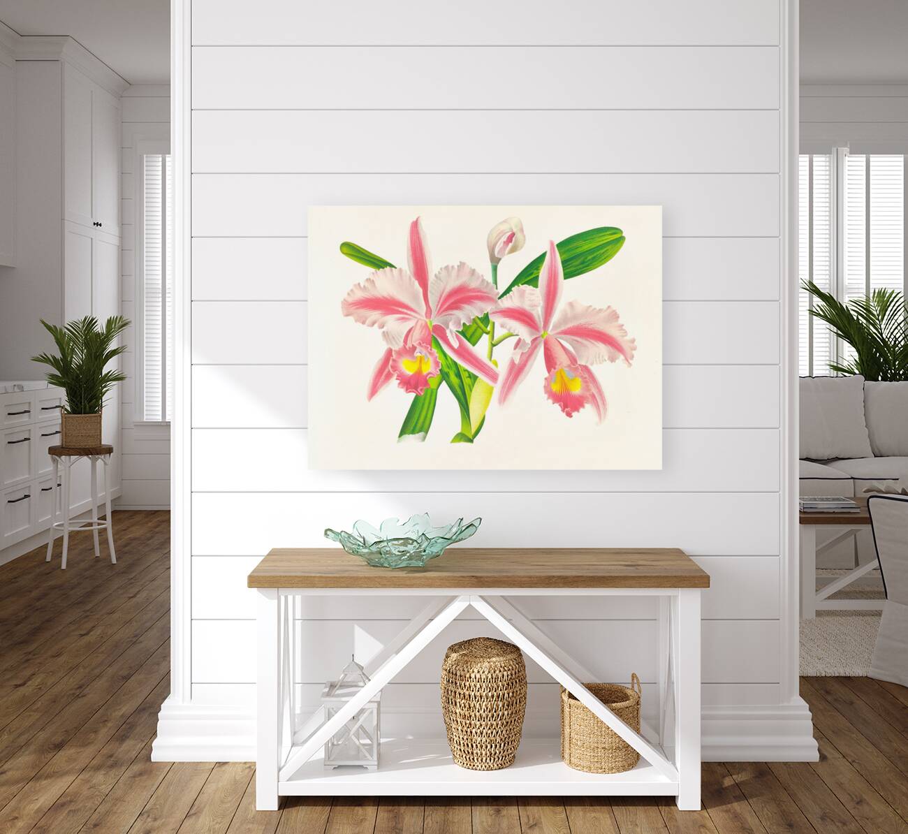 Cattleya Trianae var striata Reproduction