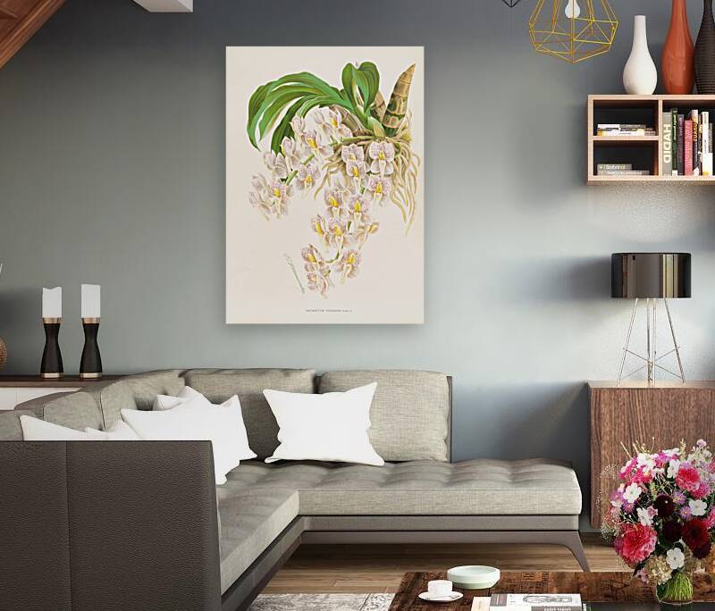 Catasetum tigrinum Reproduction