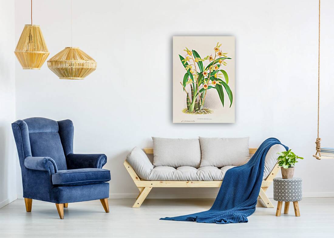 Catasetum Discolor Reproduction