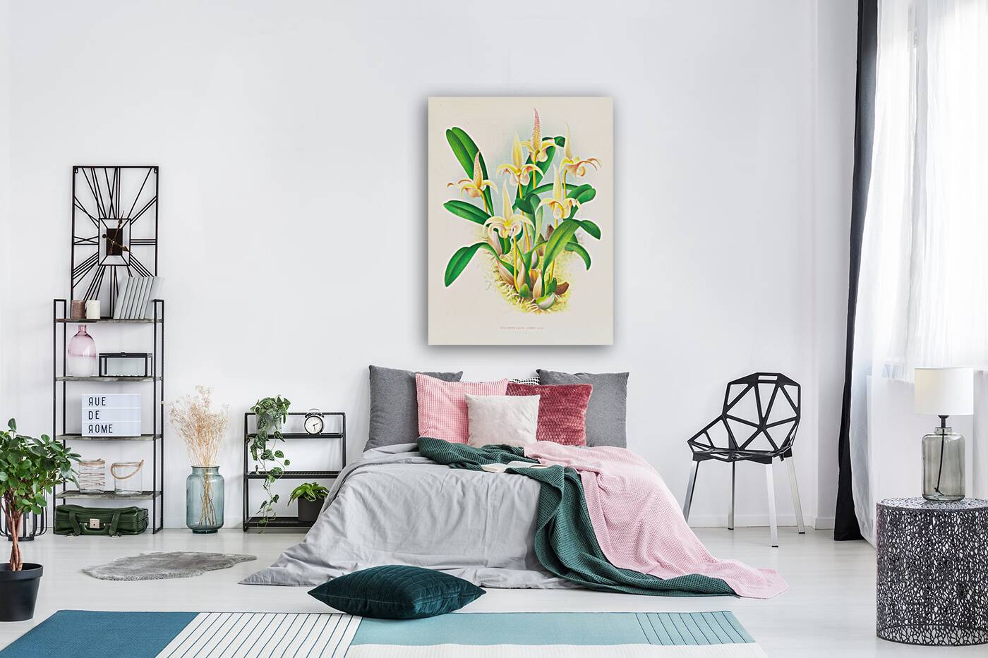 Bolbophyllum lobbi Reproduction