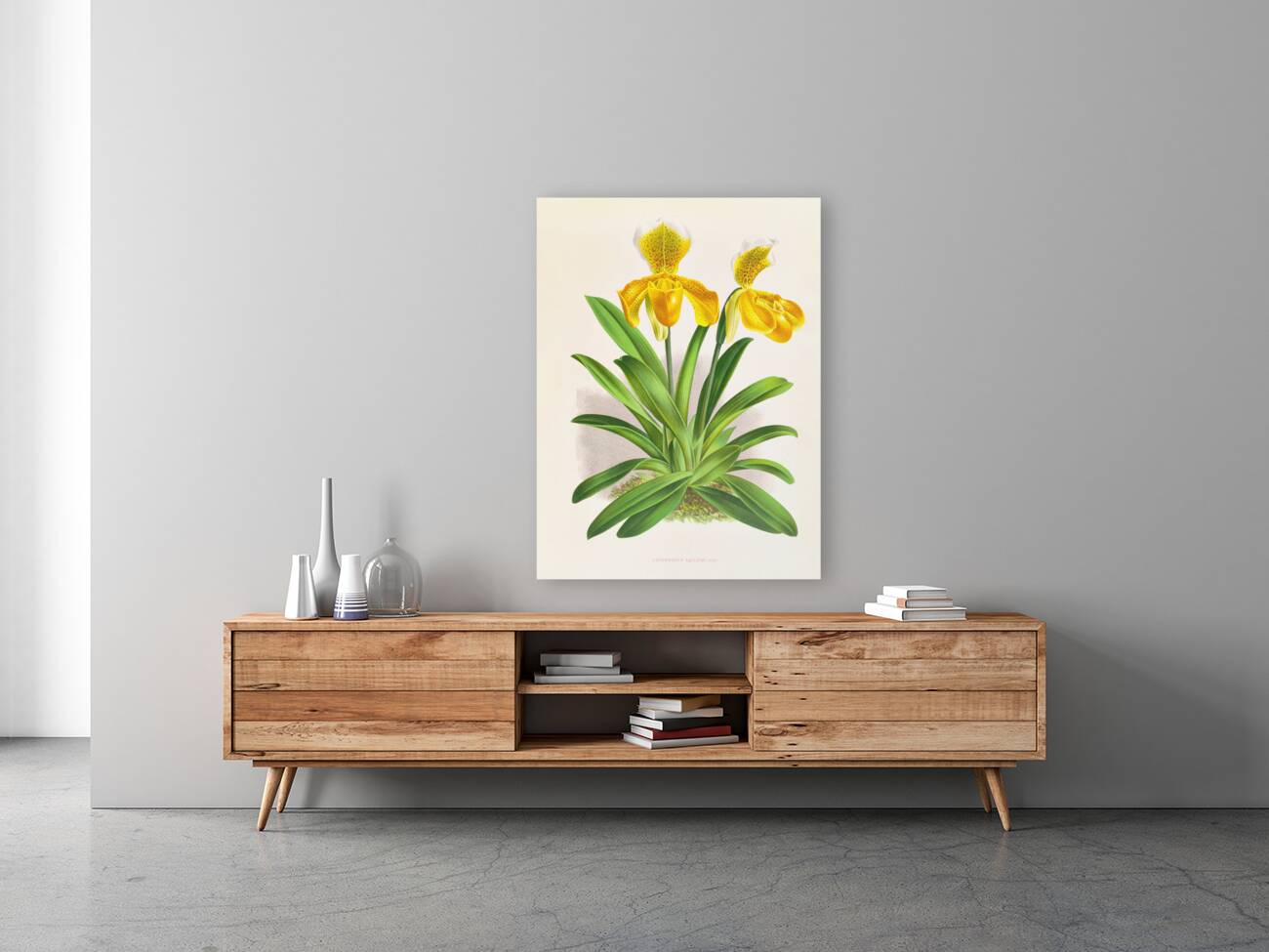 Cypripedium sallieri Reproduction