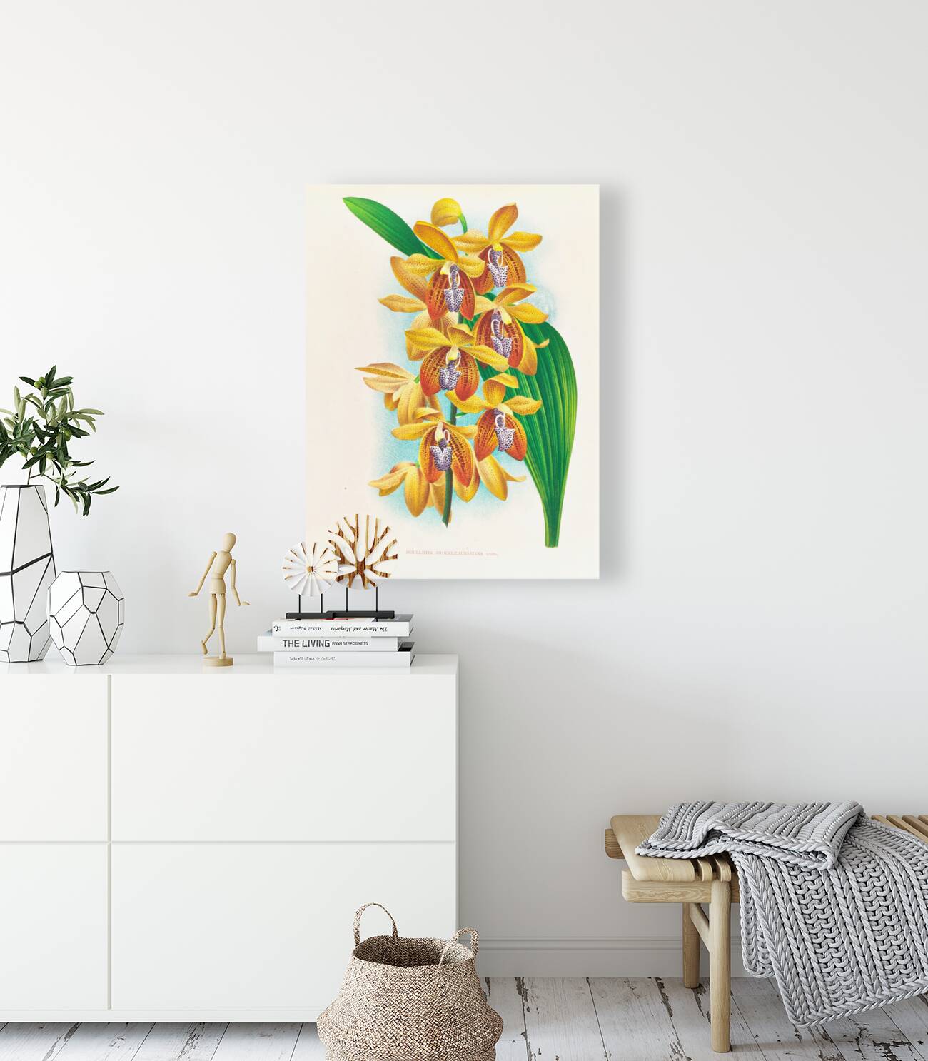 Houlletia brocklehurstiana  Reproduction